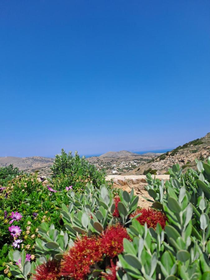 Villa Adeiata Adiata Exteriér fotografie